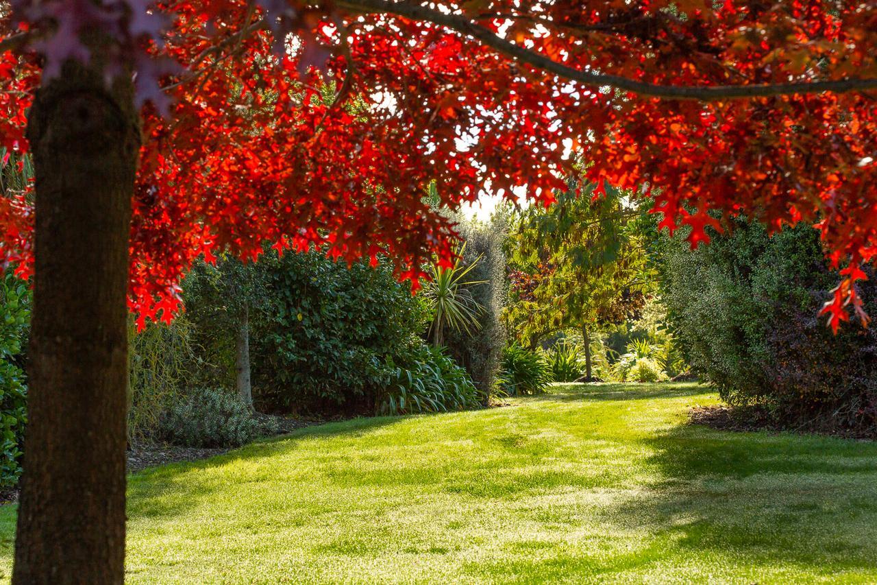 Accent House Luxury Boutique Bed & Breakfast Mapua Exteriör bild